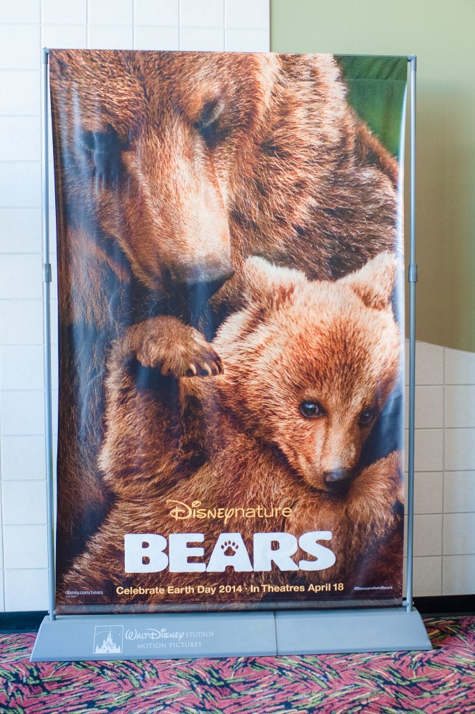 Disney Bears-1