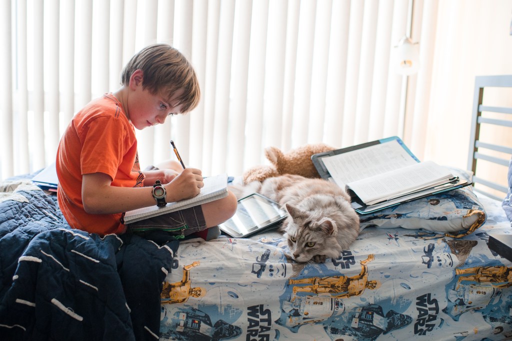 Harry, Homework and Raja-5