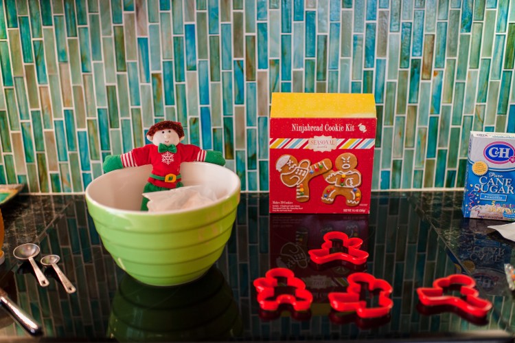 Cookies, Cats and Elfie-16