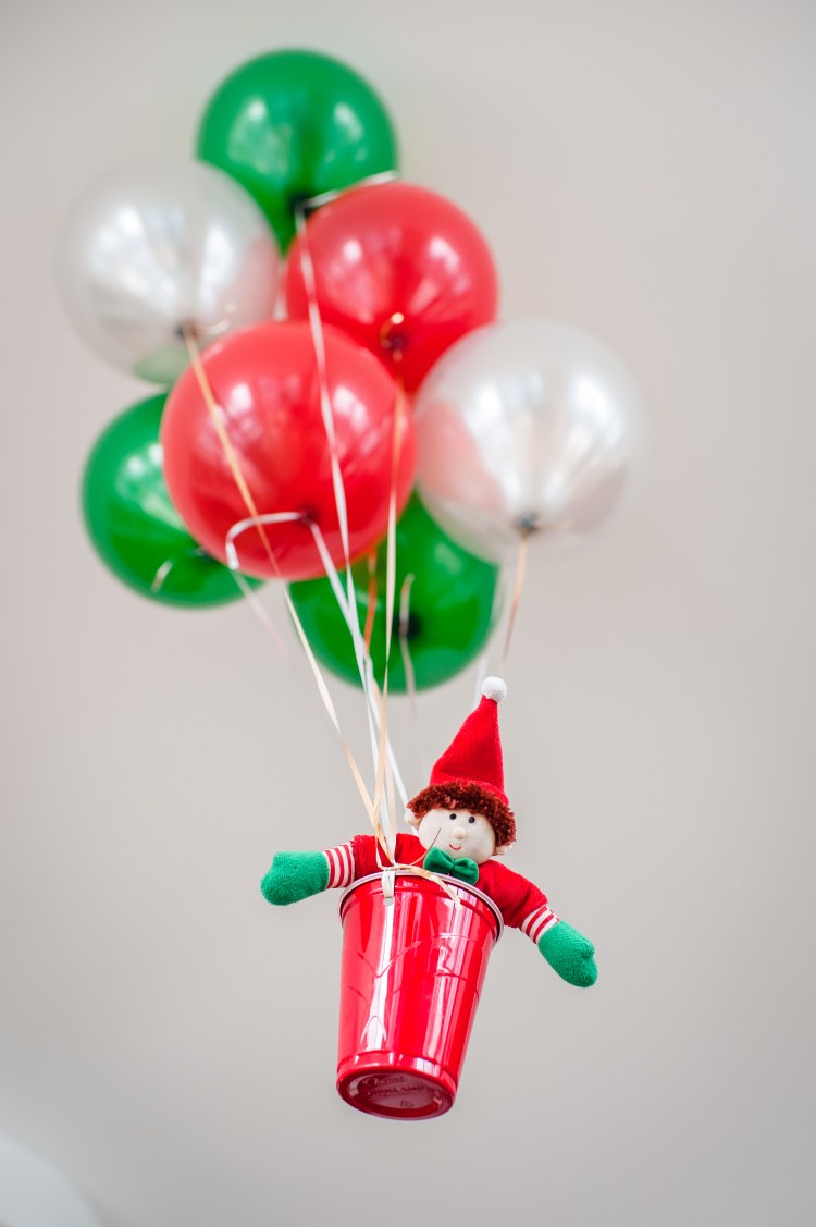 Elfie's Arrival-7