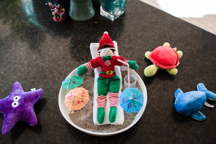 Karate and Elfie-3