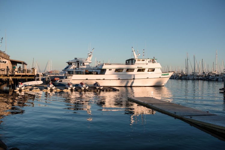 Channel Islands-5