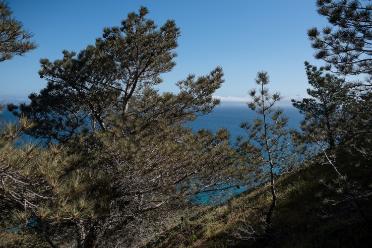 Channel Islands-7