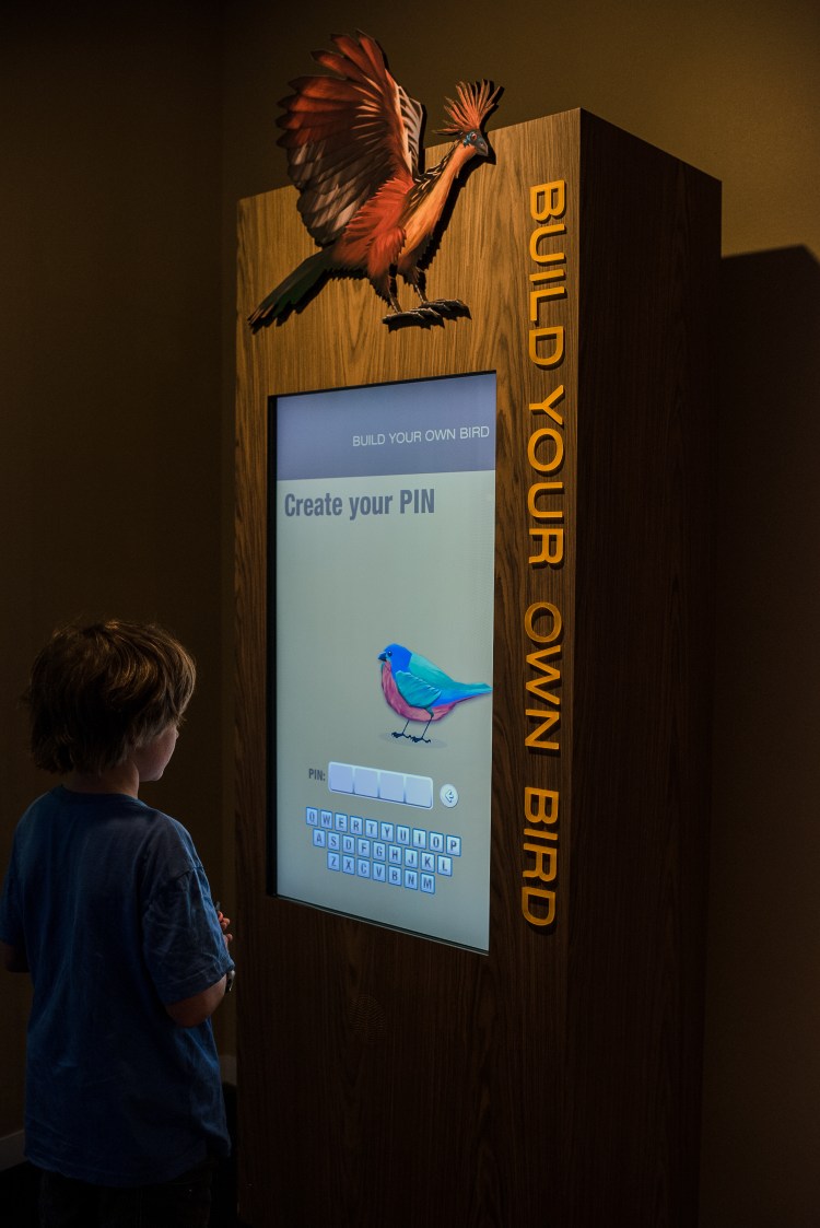 Perot Science Museum-13