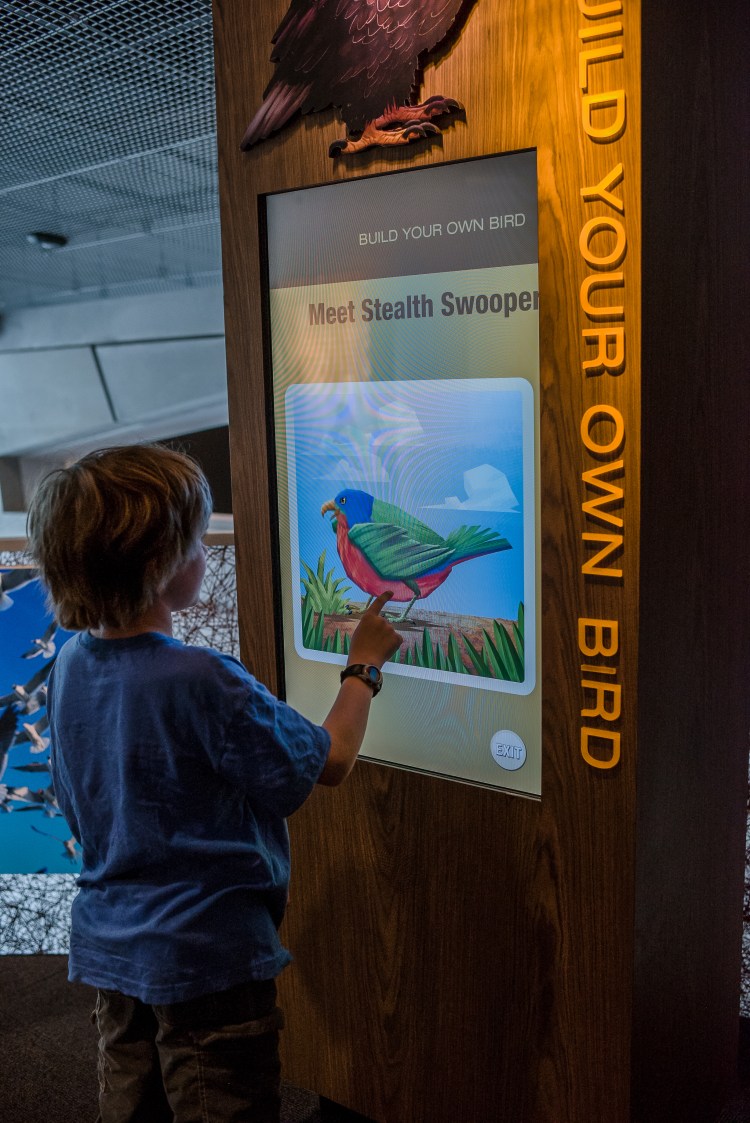 Perot Science Museum-16