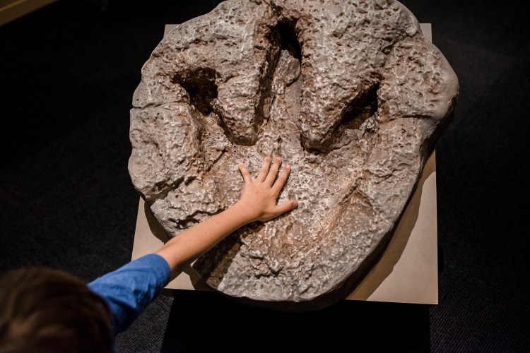 Perot Science Museum-18