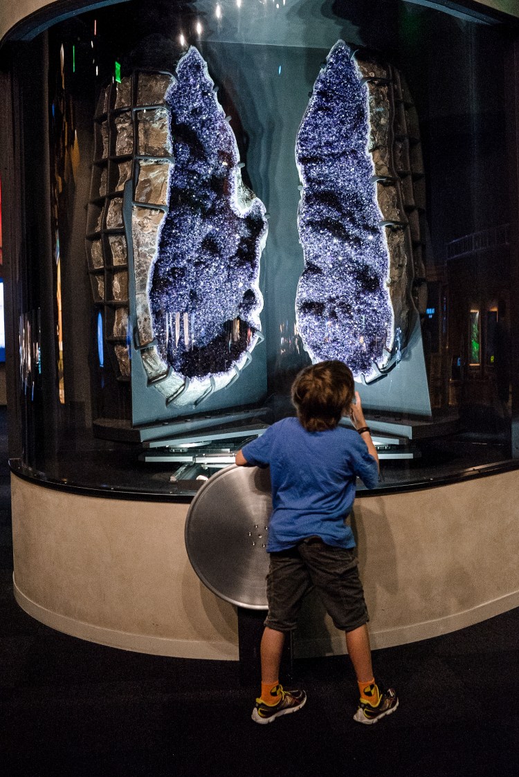 Perot Science Museum-21