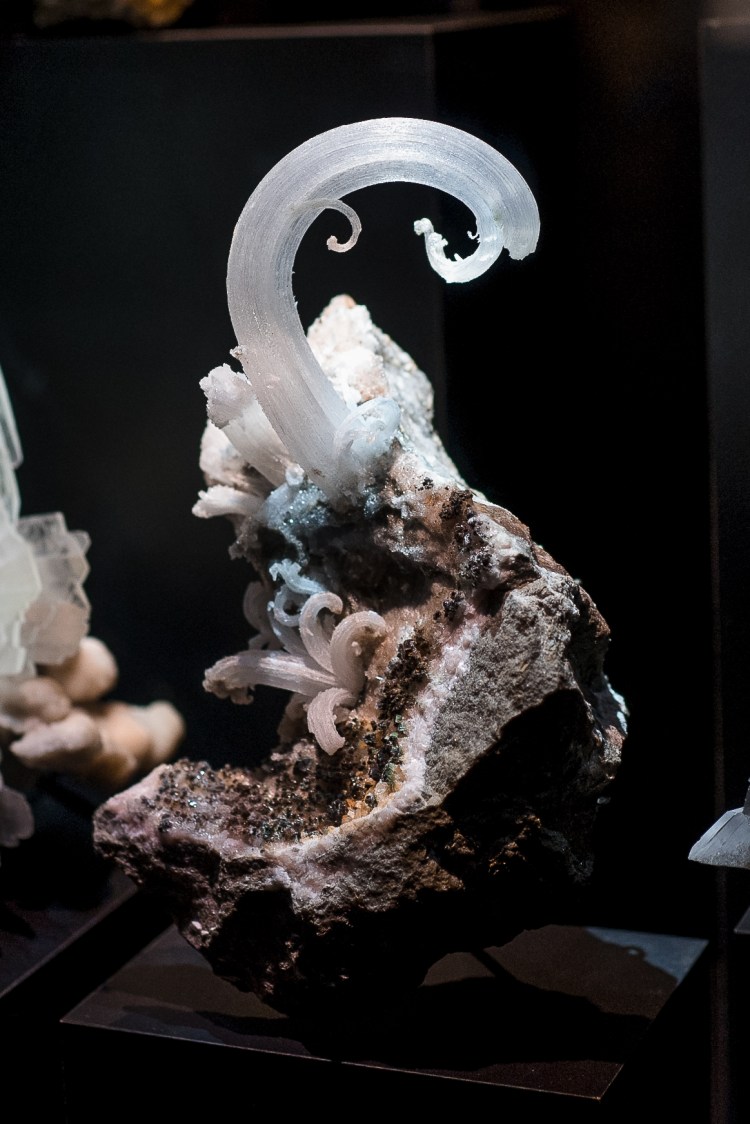 Perot Science Museum-22
