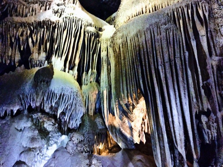 9 Day Field Trip-12