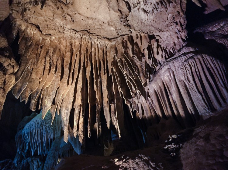 9 Day Field Trip-13