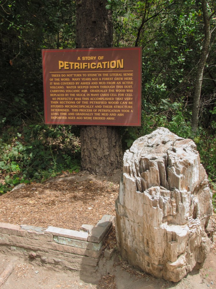 Field Trip -110